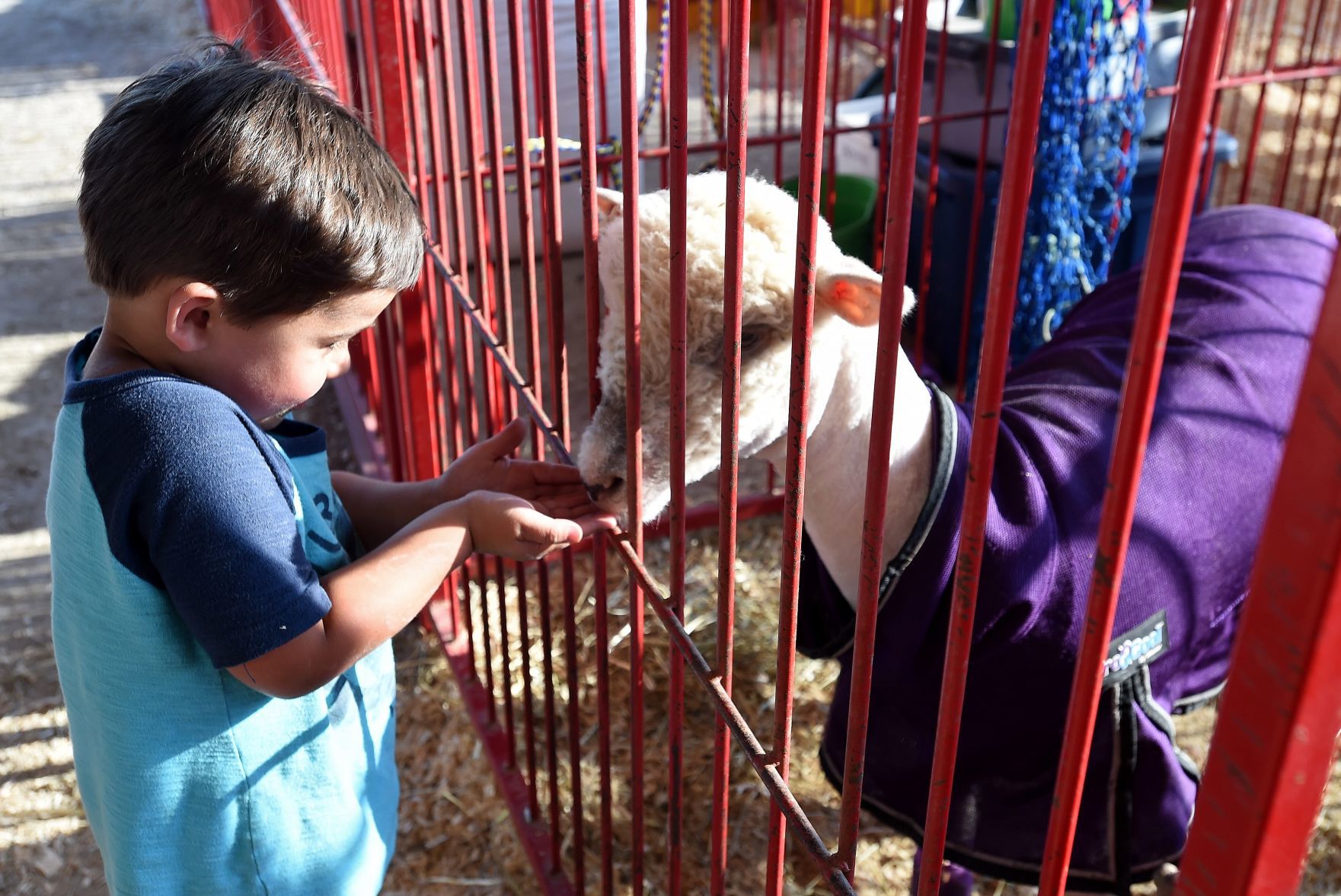 Racine County Fair 2019